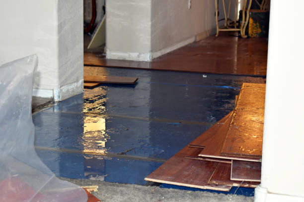 Professional Water Damage Restoration technician working in Cranesville, PA